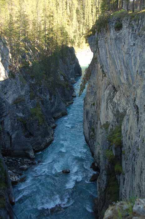 Sunwapta Falls